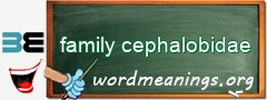 WordMeaning blackboard for family cephalobidae